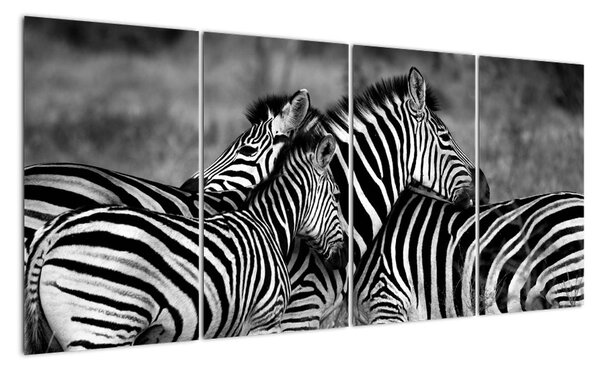 Obraz - zebry (160x80cm)