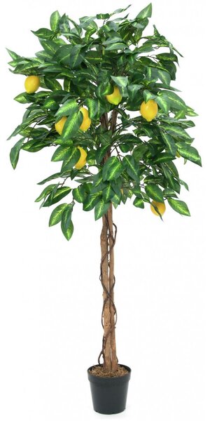 Umělý strom Citrusovník - přírodní kmen, 180 cm