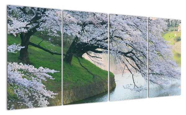 Obraz kvetoucích stromů (160x80cm)