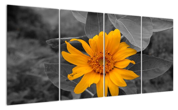 Obraz oranžového květu (160x80cm)