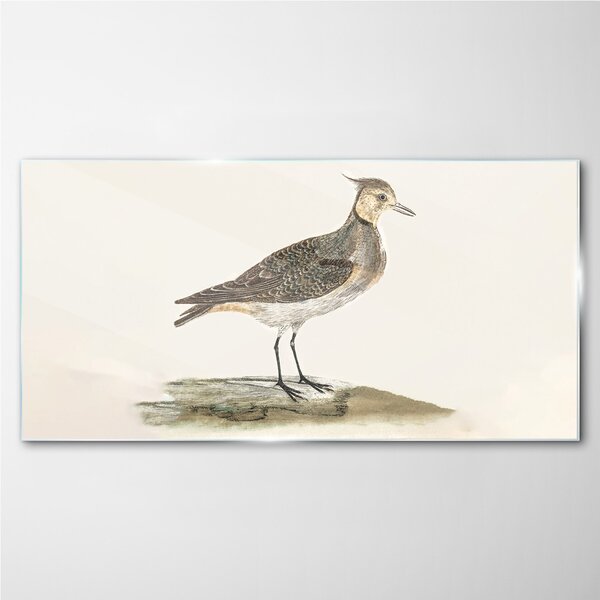 Obraz na skle Obraz na skle Moderní zvířecí pták