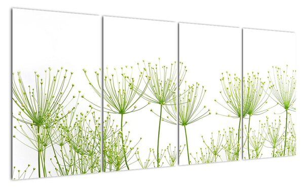 Obraz rostlin na bílém pozadí (160x80cm)