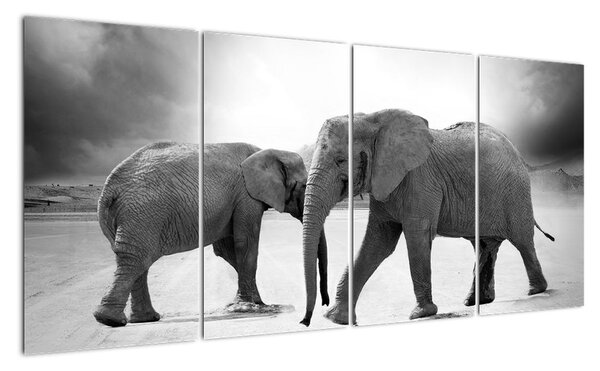 Obraz - sloni (160x80cm)