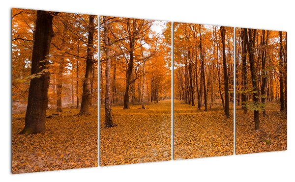 Obraz lesní cesty (160x80cm)