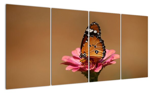 Obraz motýla (160x80cm)