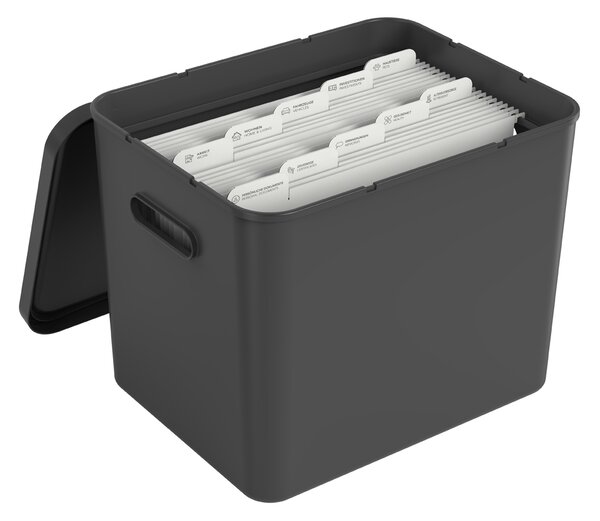 Rotho Sestava – Organizér na poštu + Archivační box - myPAPER černý