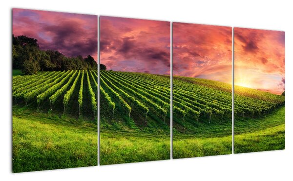 Obraz krajiny na zeď (160x80cm)