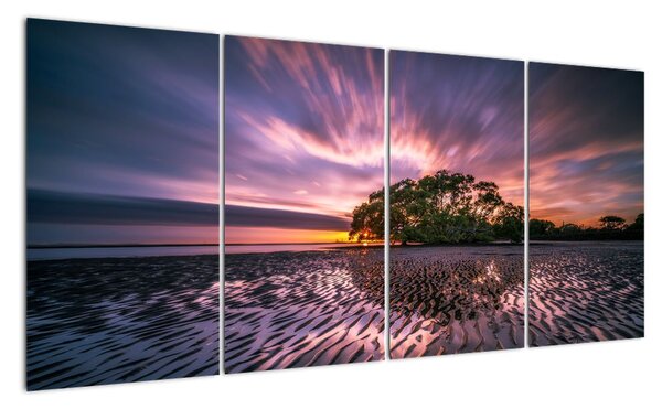 Obraz na zeď (160x80cm)