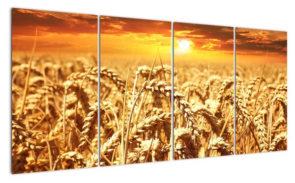 Obraz (160x80cm)