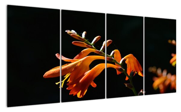 Obraz detailu květiny (160x80cm)