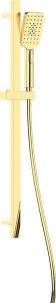 Aplomo Alpinia ruční posuvný sprchový set, zlatá