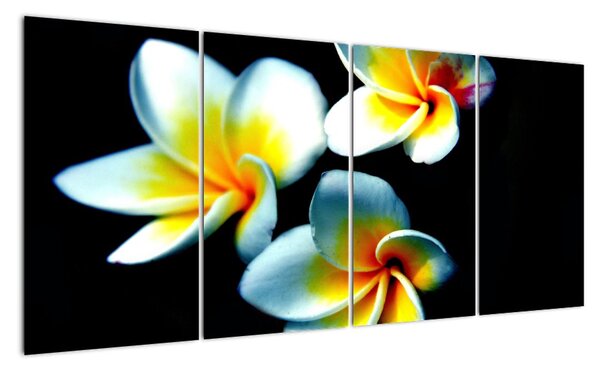 Obraz květiny (160x80cm)