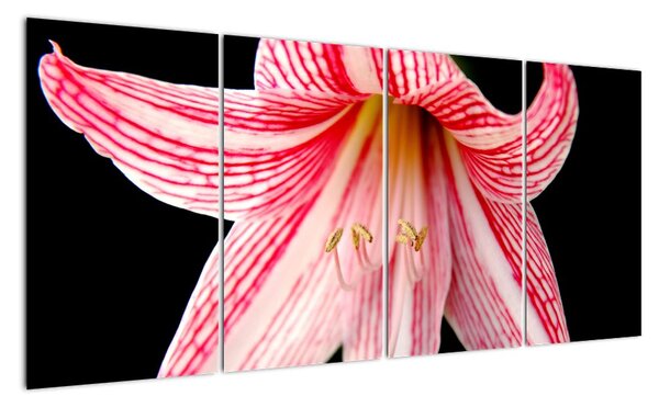 Obraz květiny (160x80cm)