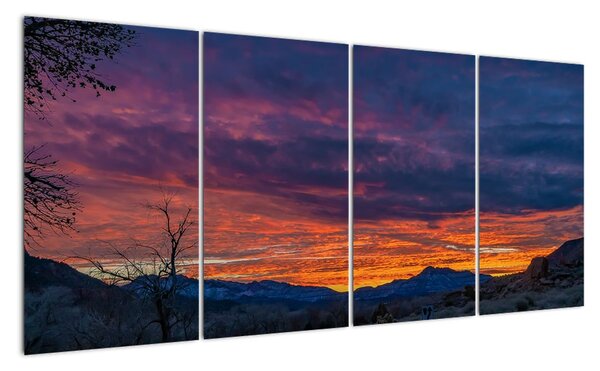 Obraz na zeď (160x80cm)