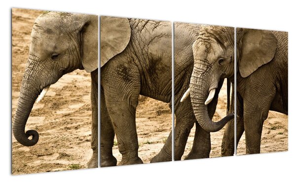 Slon, obraz (160x80cm)