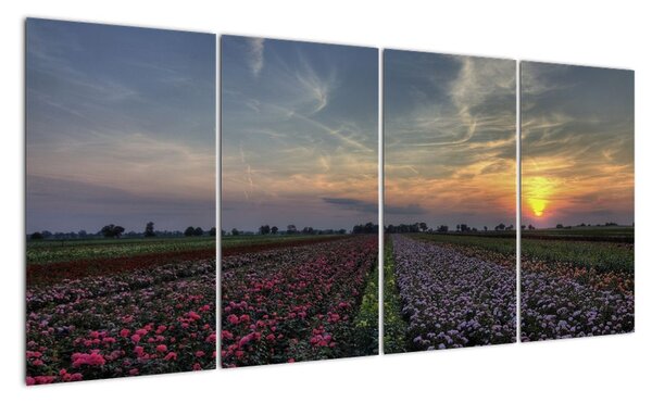 Obraz pole s květinami (160x80cm)