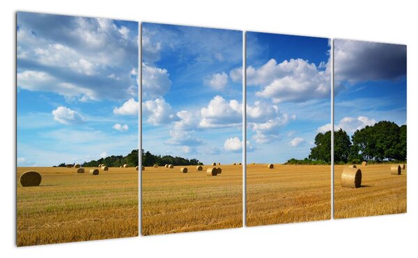 Letní pole - obraz (160x80cm)