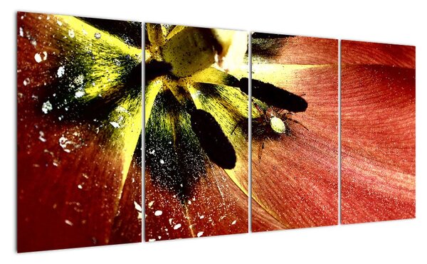 Detail květu - obraz (160x80cm)