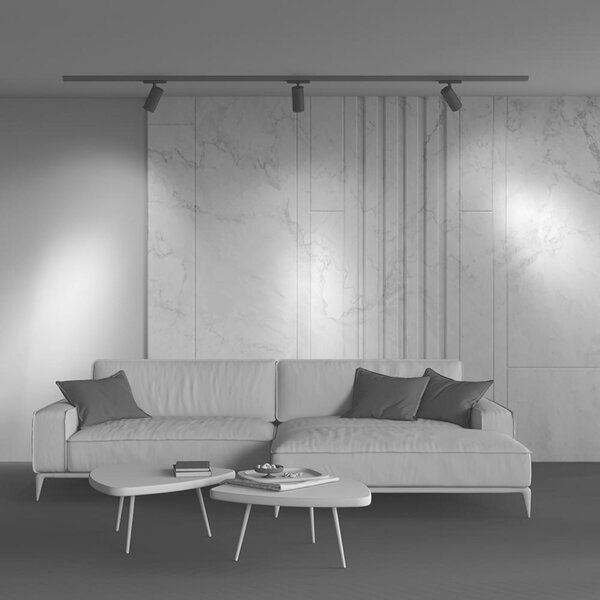 MAYTONI Svítidlo do kolejnice Vuoro Pro Trinity 2700-5000K 40W 38d TR251-40W2.7-5K-B