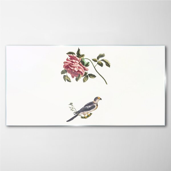 Obraz na skle Obraz na skle Zvířecí pták větev květina