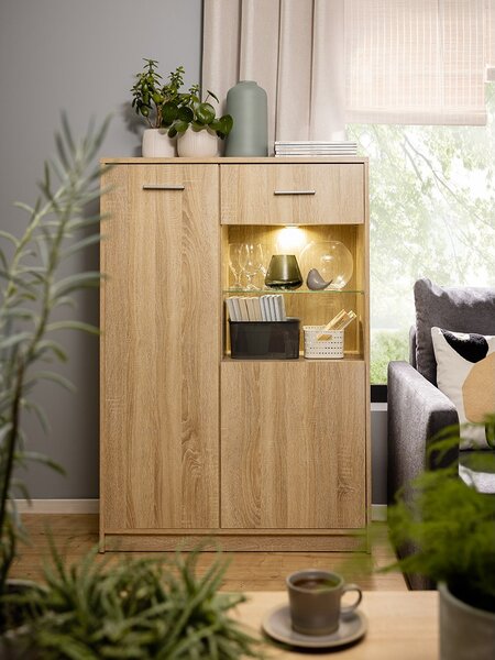 NEPO PLUS vitrína REG1D1W/90, dub sonoma