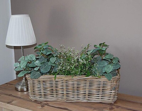 RATANOVÝ TRUHLÍK CLASIC, Grey, 60x23x20 cm (Van der Leeden®)