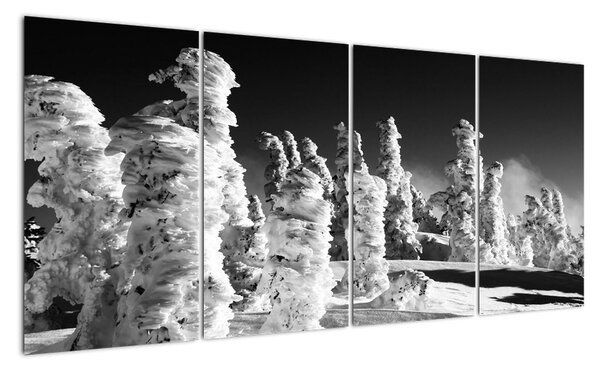 Obraz - zimní hory (160x80cm)