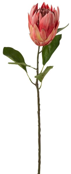 Umělá květina J-line Proteas 67 cm