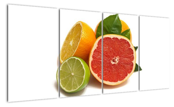 Citrusové plody - obraz (160x80cm)