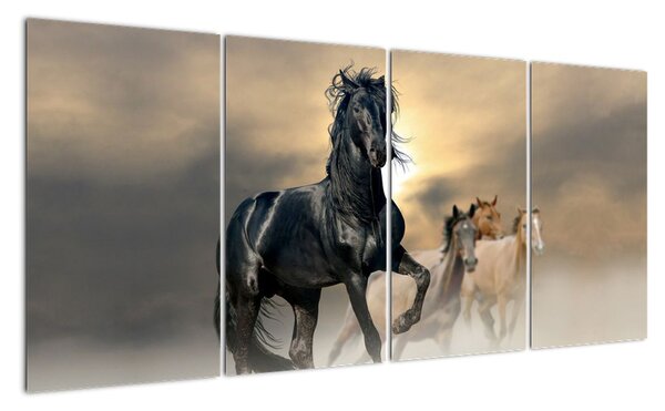 Obraz koně (160x80cm)
