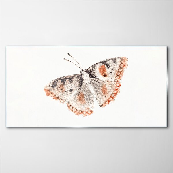 Obraz na skle Obraz na skle Chyba hmyz motýla