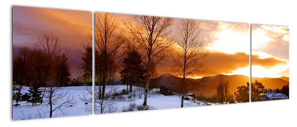 Obraz zimní krajiny (170x50cm)