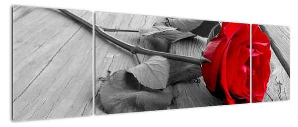 Obraz růže s červeným květem (170x50cm)