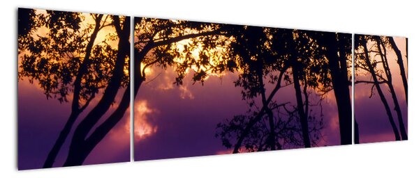 Moderní obrazy (170x50cm)