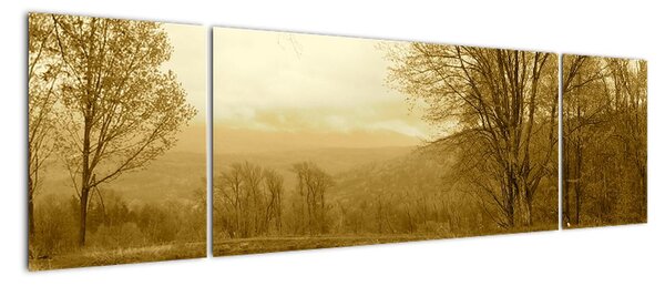 Obraz - výhled na jezírko (170x50cm)