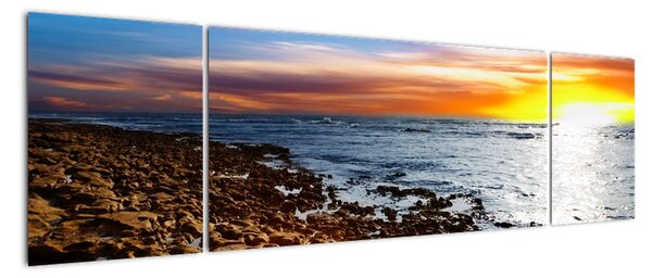 Obraz do obývacího pokoje (170x50cm)