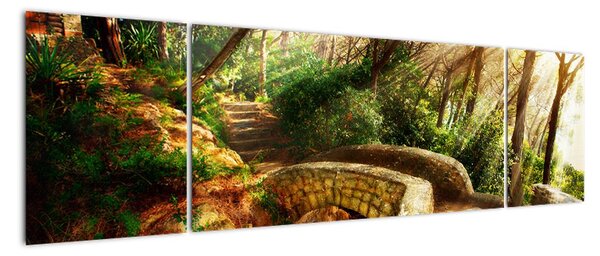 Obraz lesní cesty (170x50cm)