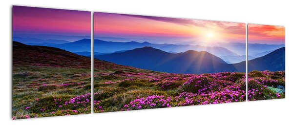 Moderní obraz horské přírody (170x50cm)