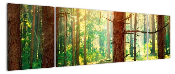 Moderní obraz - les (170x50cm)
