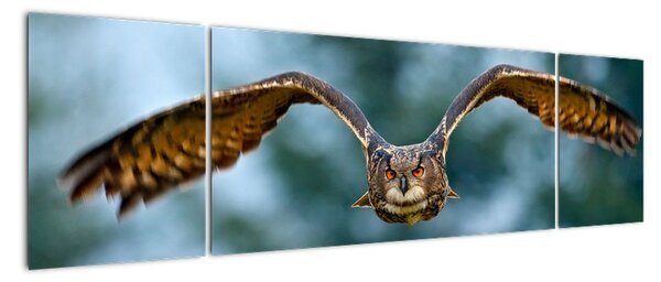 Obraz letící sovy (170x50cm)