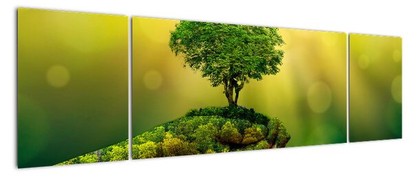 Moderní obraz - příroda (170x50cm)