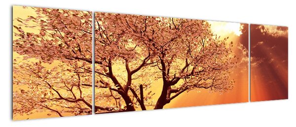 Obraz stromu (170x50cm)