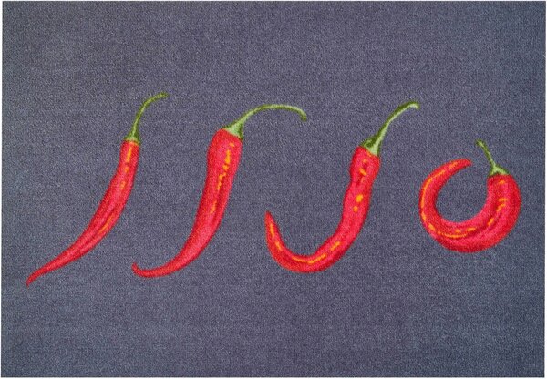 GRUND Rohožka do domácnosti HOT CHILI šedá Rozměr: 75x120 cm