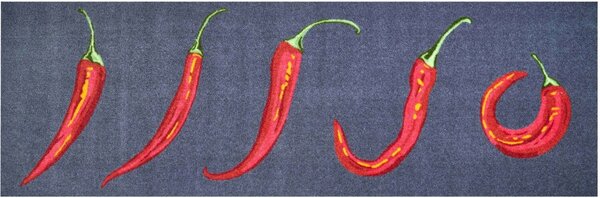 GRUND Rohožka do domácnosti HOT CHILI šedá Rozměr: 75x120 cm