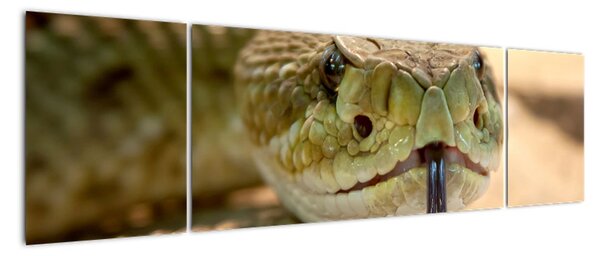 Obraz do bytu - had (170x50cm)
