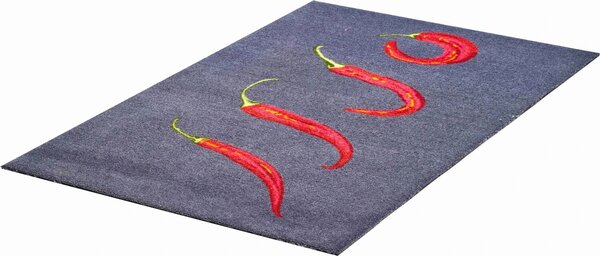 GRUND Rohožka do domácnosti HOT CHILI šedá Rozměr: 75x120 cm