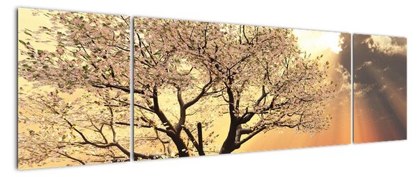 Obraz stromu (170x50cm)