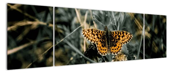Obraz motýla (170x50cm)