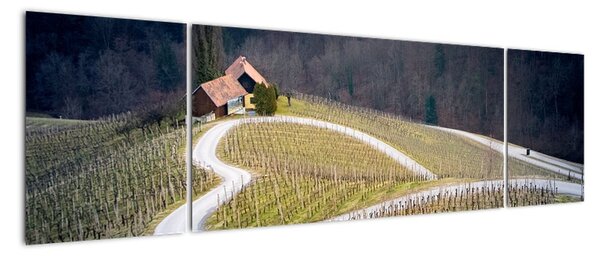 Cesta ve vinici ve tvaru srdce (170x50cm)