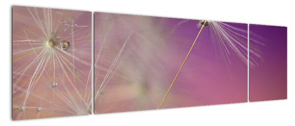 Obraz přírody - makra (170x50cm)
